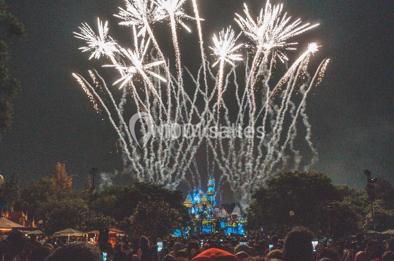 Artifice Technique Pyrotechnique Maurice - galerie - photo 1