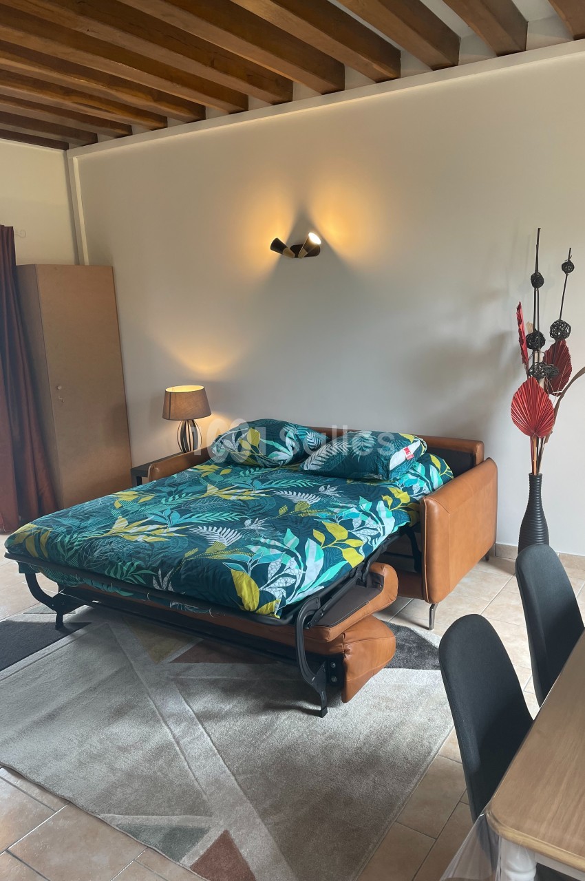 Canapé-lit déplié avec une housse à motifs tropicaux, dans un salon lumineux avec poutres apparentes et décoration moderne.