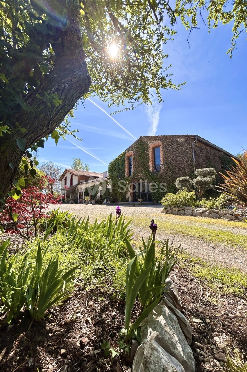 Maison en pierre entourée de végétation, vue depuis un jardin fleuri sous un ciel bleu ensoleillé.