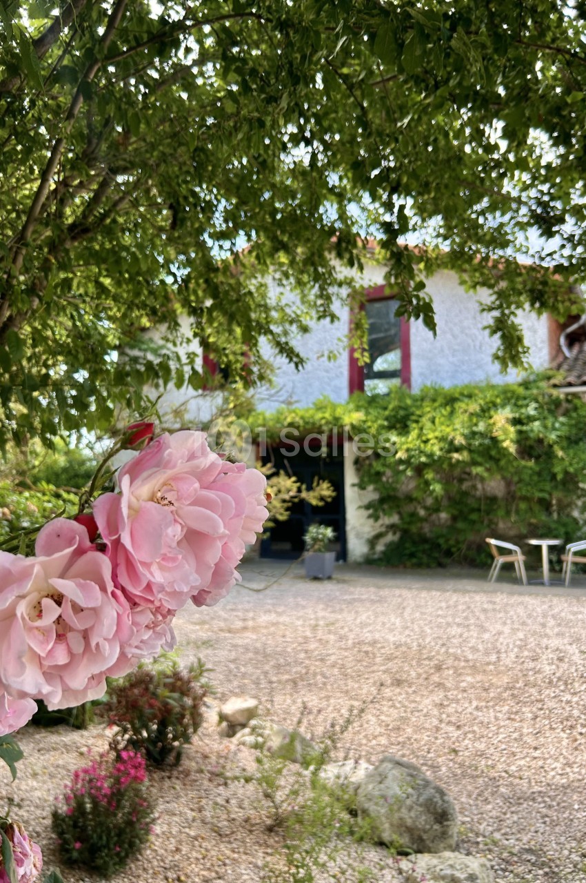 Fleurs roses en gros plan devant une maison entourée de verdure avec une cour en gravier et des chaises de jardin.