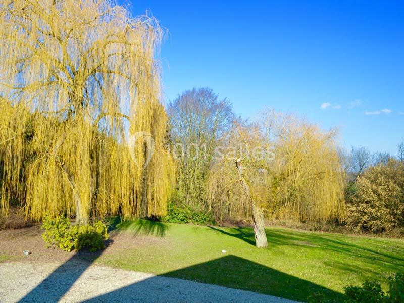 Un jardin avec des saules pleureurs, une pelouse verte et un ciel bleu dégagé en arrière-plan.