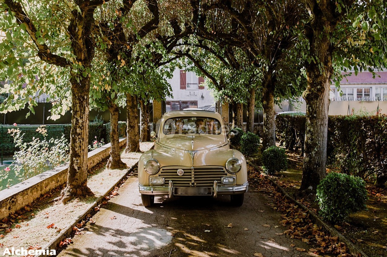 Voiture ancienne beige stationnée sous une allée ombragée bordée d'arbres et de buissons.