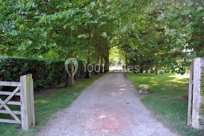 Château De Nèsles - galerie - photo 6