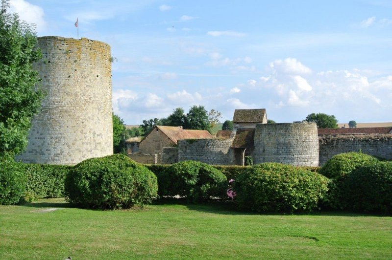 Château De Nèsles - photo 5