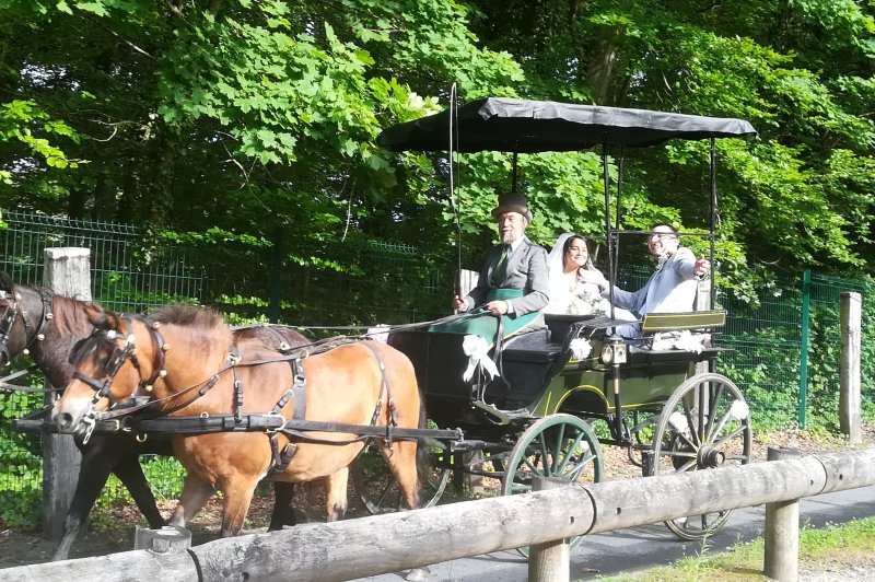 Mariage En Calèche - Nonette-cuirs - photo 2