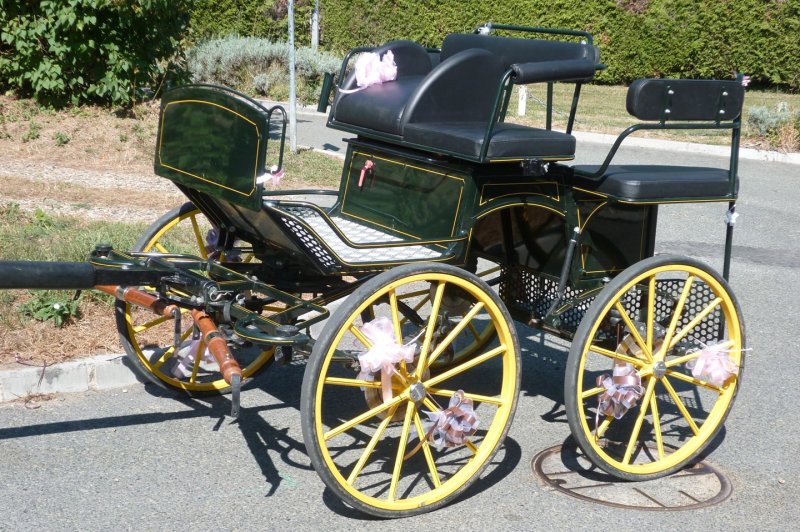 Mariage En Calèche - Nonette-cuirs - photo 3