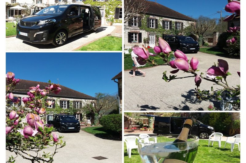 Vit1chauffeur - photo 2