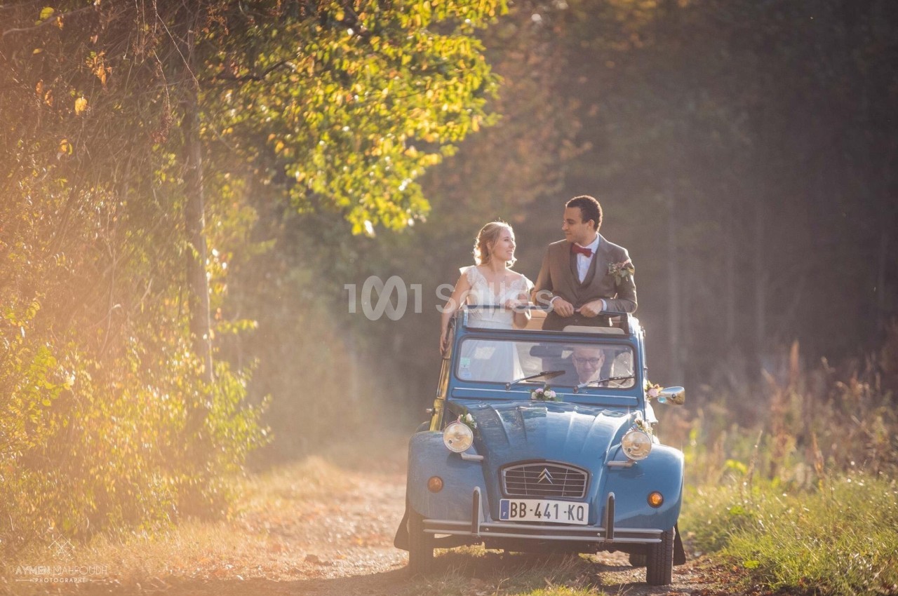 Un couple souriant en tenue de mariage roule dans une voiture ancienne sur un chemin bordé d'arbres.