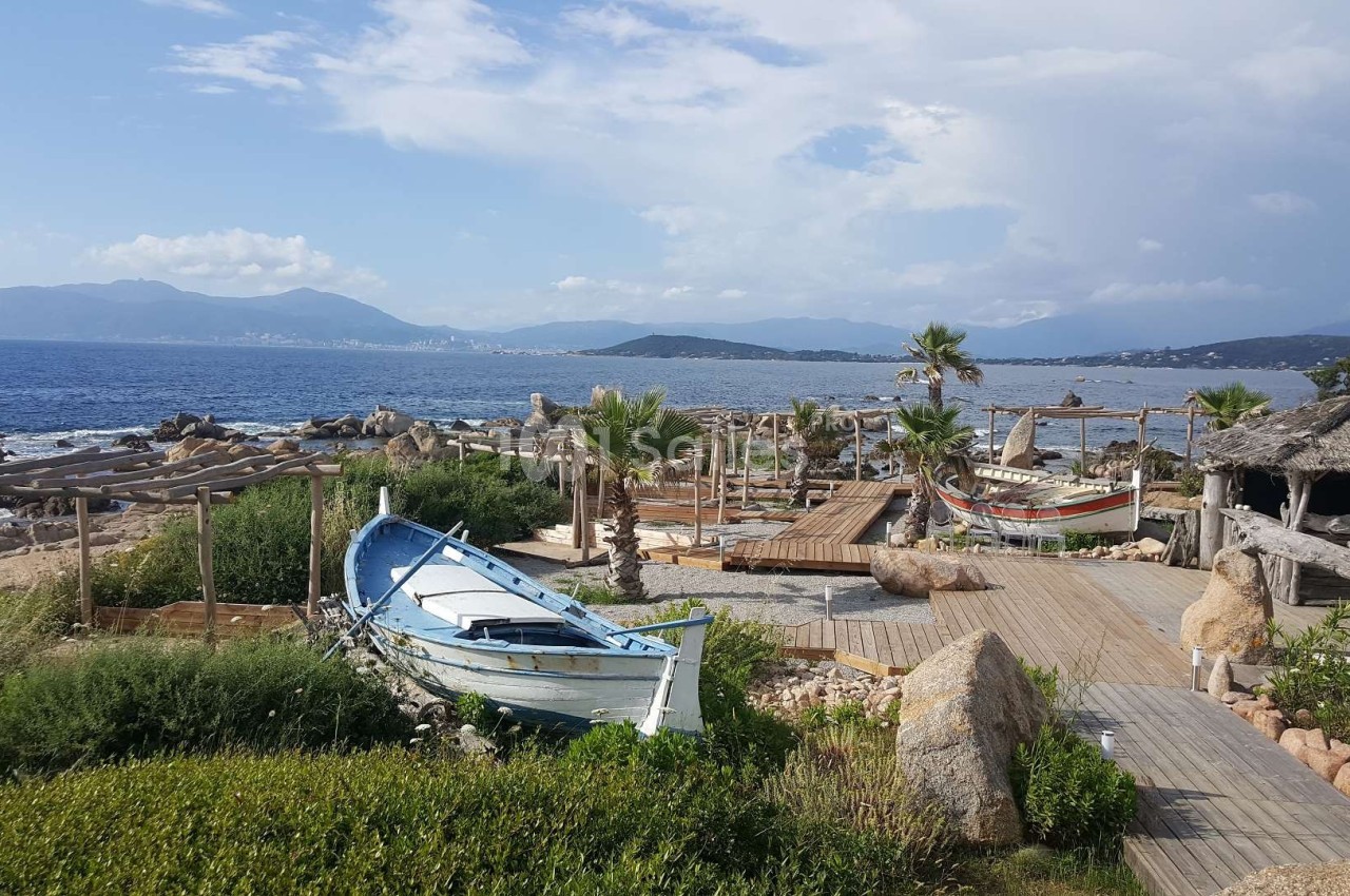 Barques traditionnelles sur une plage bordée de végétation, avec vue sur la mer et des montagnes à l'horizon.