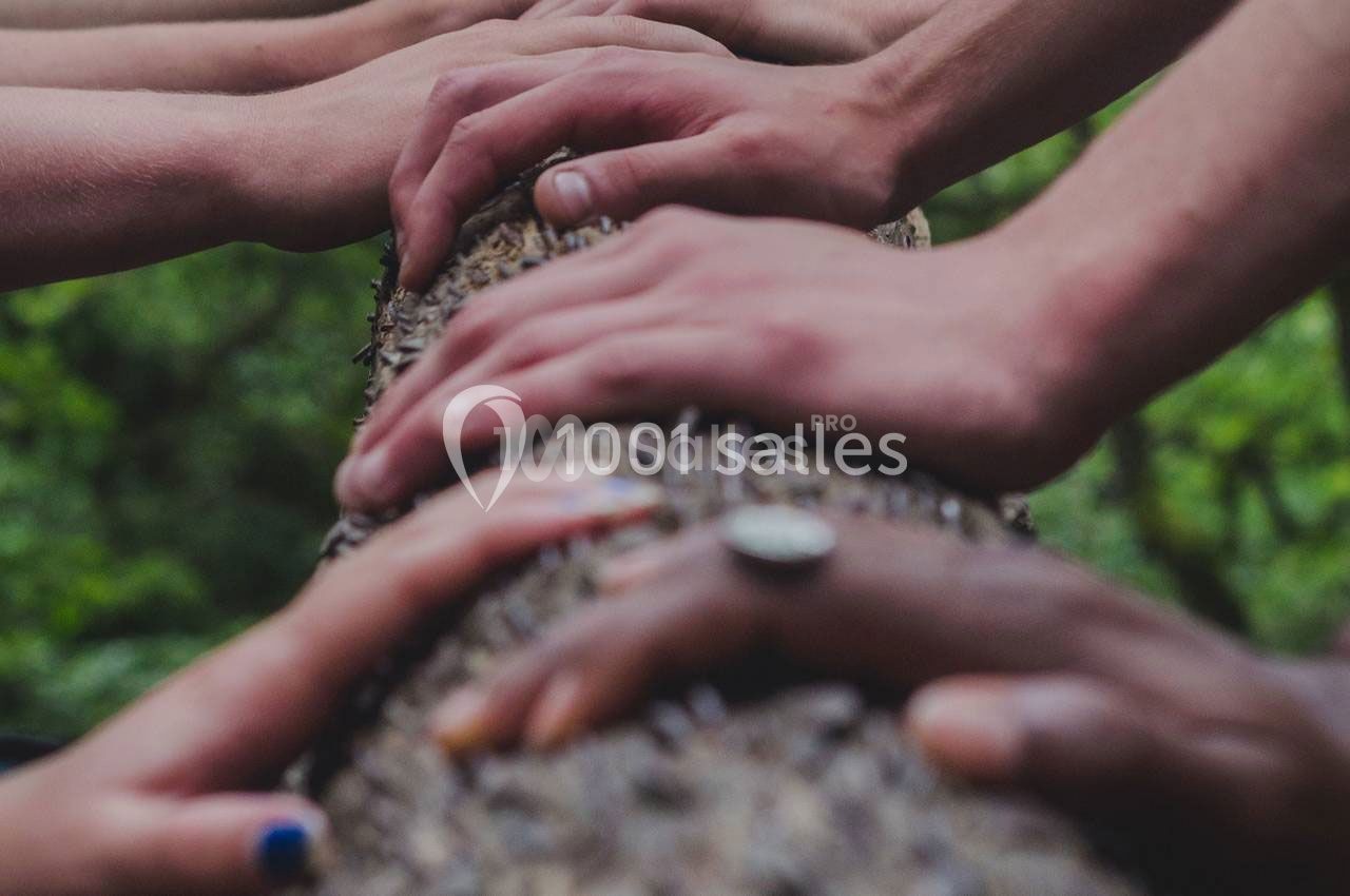 Jardin Botanique De Deshaies Villers - galerie - photo 1