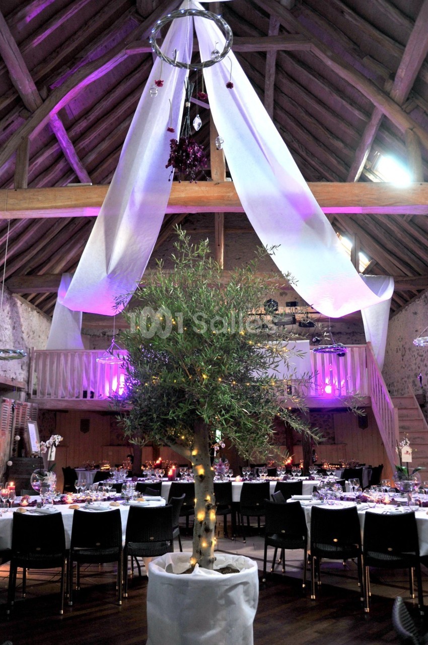 Salle de réception décorée avec un olivier illuminé au centre, des tables dressées et des drapés suspendus au plafond.