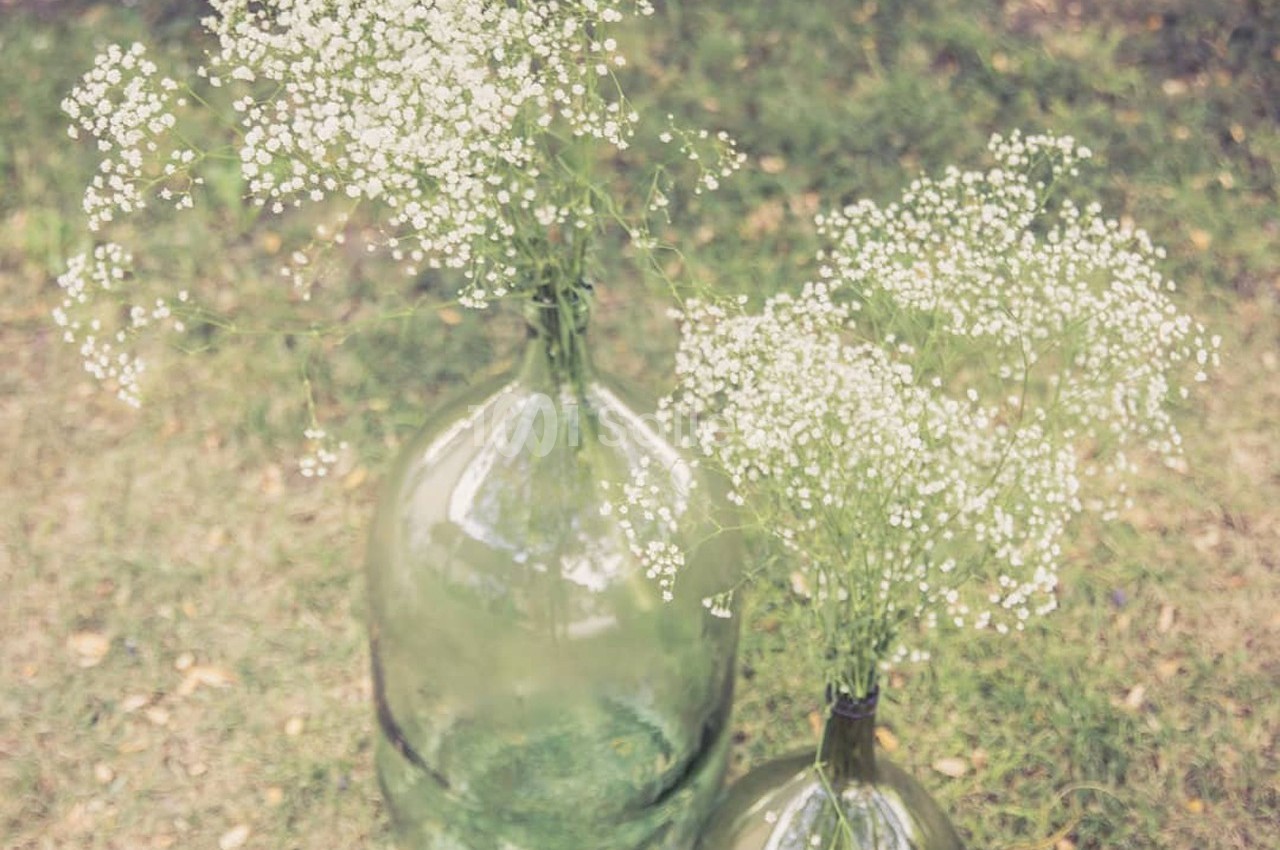Deux vases en verre vert contenant des branches de gypsophile blanche, posés sur une pelouse.