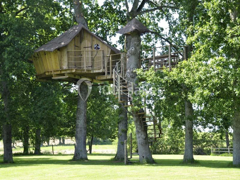 Le Petit Moulin Du Rouvre - galerie - photo 17
