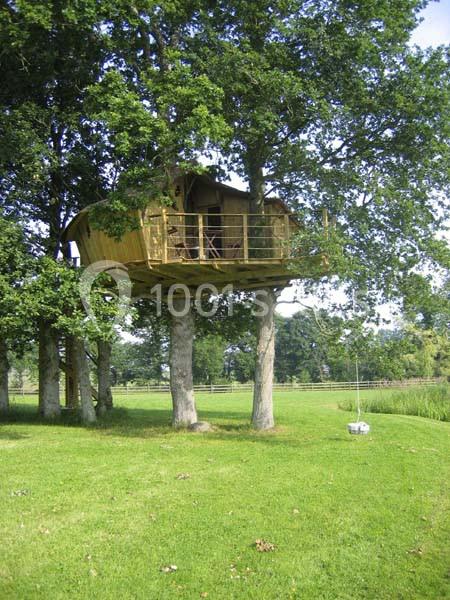 Le Petit Moulin Du Rouvre - galerie - photo 20