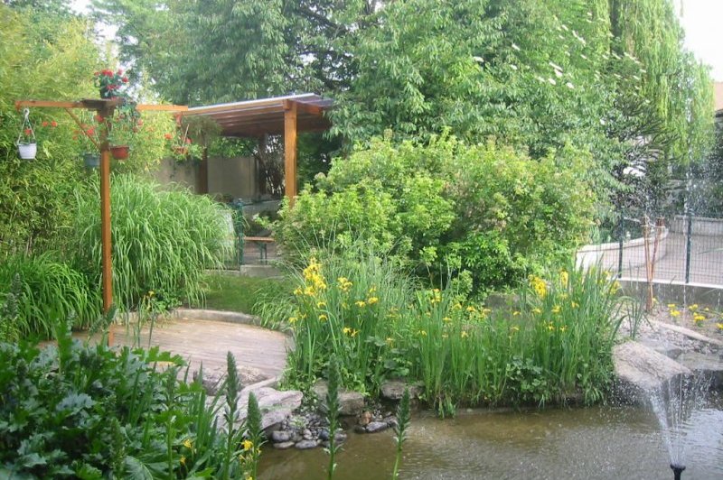 Au Jardin Des Saules - photo 3