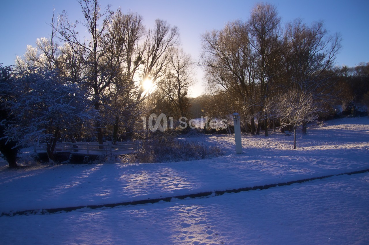 Paysage enneigé au lever du soleil, avec des arbres dénudés et une lumière douce éclairant le sol.