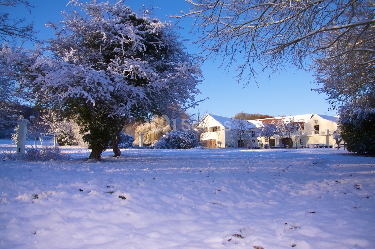 Paysage hivernal avec un grand arbre enneigé au premier plan et des bâtiments blancs en arrière-plan sous un ciel bleu.