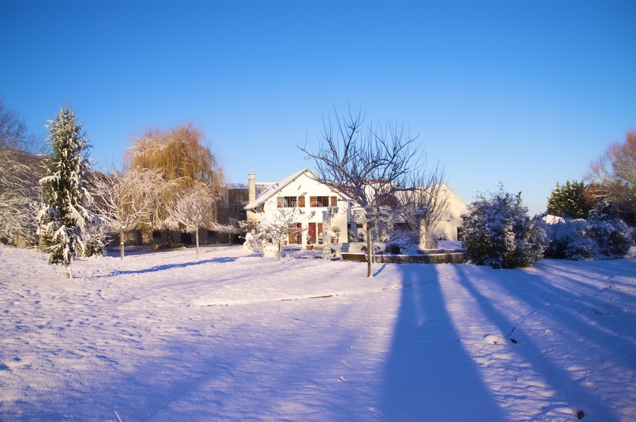 Maison entourée d'un jardin enneigé sous un ciel bleu clair, avec des arbres dénudés et des ombres longues.