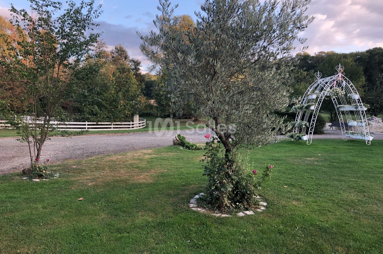 Jardin avec pelouse, arbre central, arche métallique blanche et allée gravillonnée bordée d'une clôture en bois.