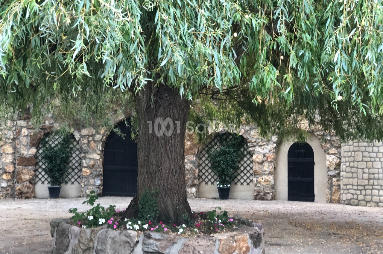 Un grand saule pleureur avec un parterre fleuri devant un mur en pierre percé de portes voûtées.