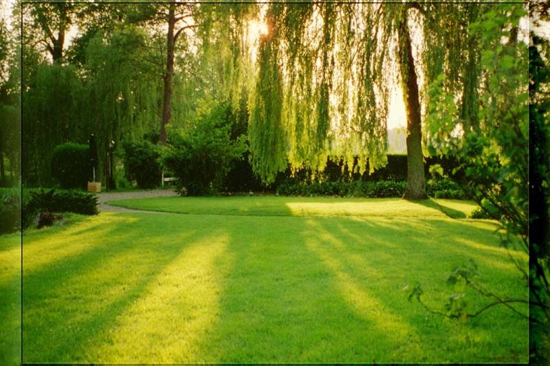 Le Moulin Du Becquerel - photo 4
