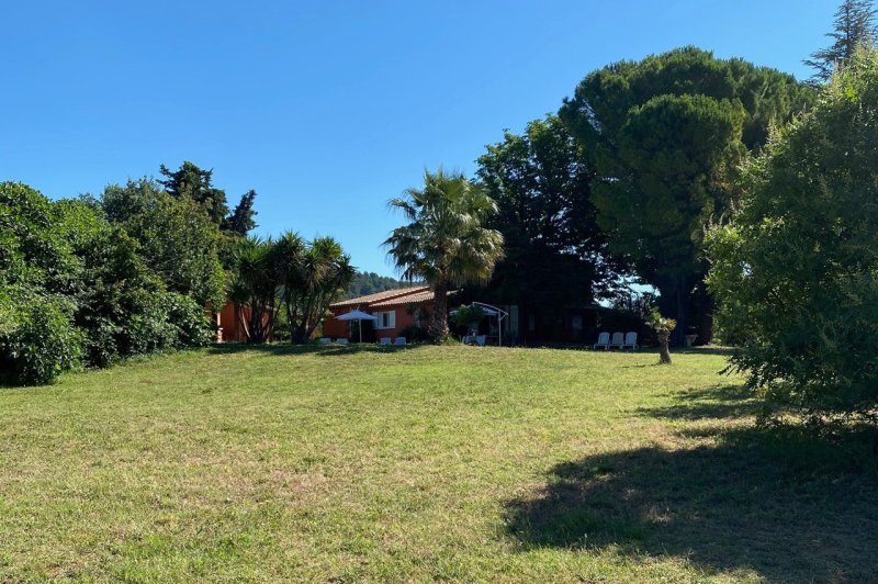 Domaine Mas des Palmiers - photo 2