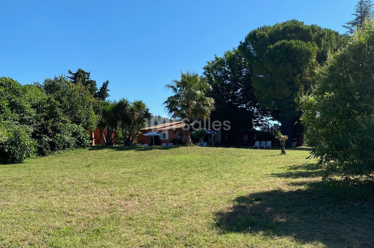 Pelouse verdoyante avec une maison entourée d'arbres et de palmiers sous un ciel bleu dégagé.
