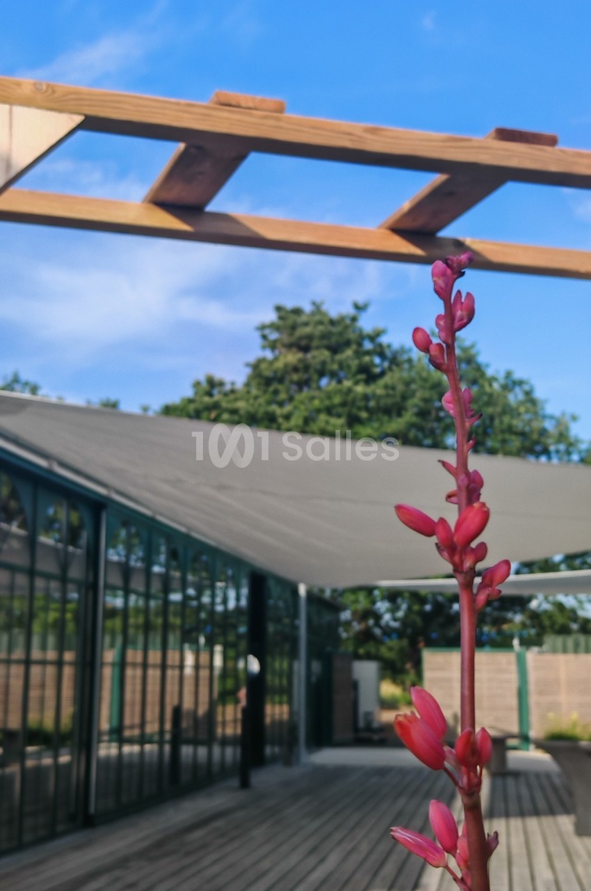 Plante à fleurs rouges en gros plan devant une pergola en bois et une terrasse avec des structures modernes.