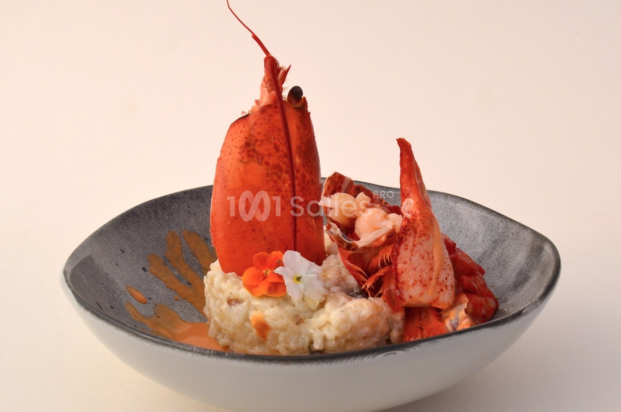 Plat gastronomique composé de homard dressé sur un lit de risotto crémeux, décoré de fleurs comestibles.