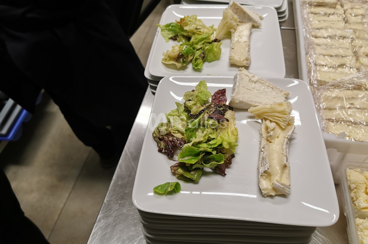 Assiette contenant une portion de salade verte et deux morceaux de fromage sur une table en inox.