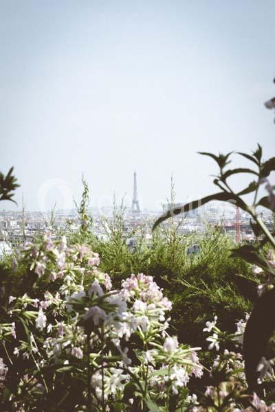 Vue de la tour Eiffel au loin, encadrée par des fleurs et une végétation verdoyante au premier plan.