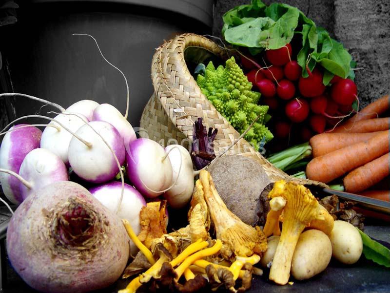 Légumes frais et champignons disposés autour d'un panier en osier, comprenant radis, carottes, navets et chou romanesco.