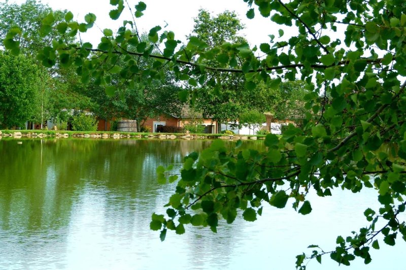 Domaine Saint Julien - photo 4