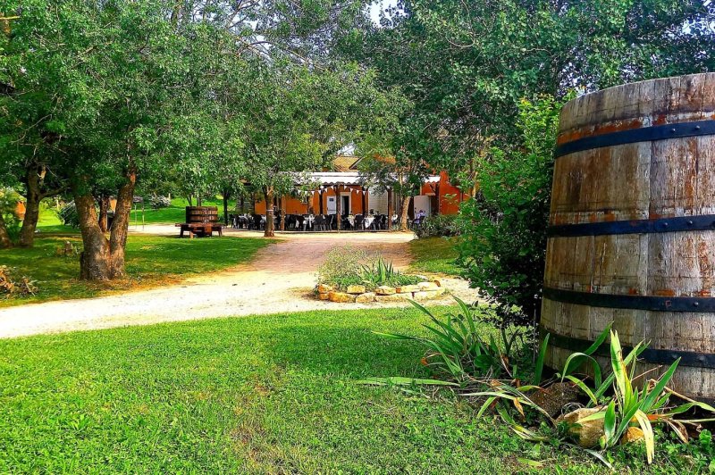 Domaine Saint Julien - photo 5