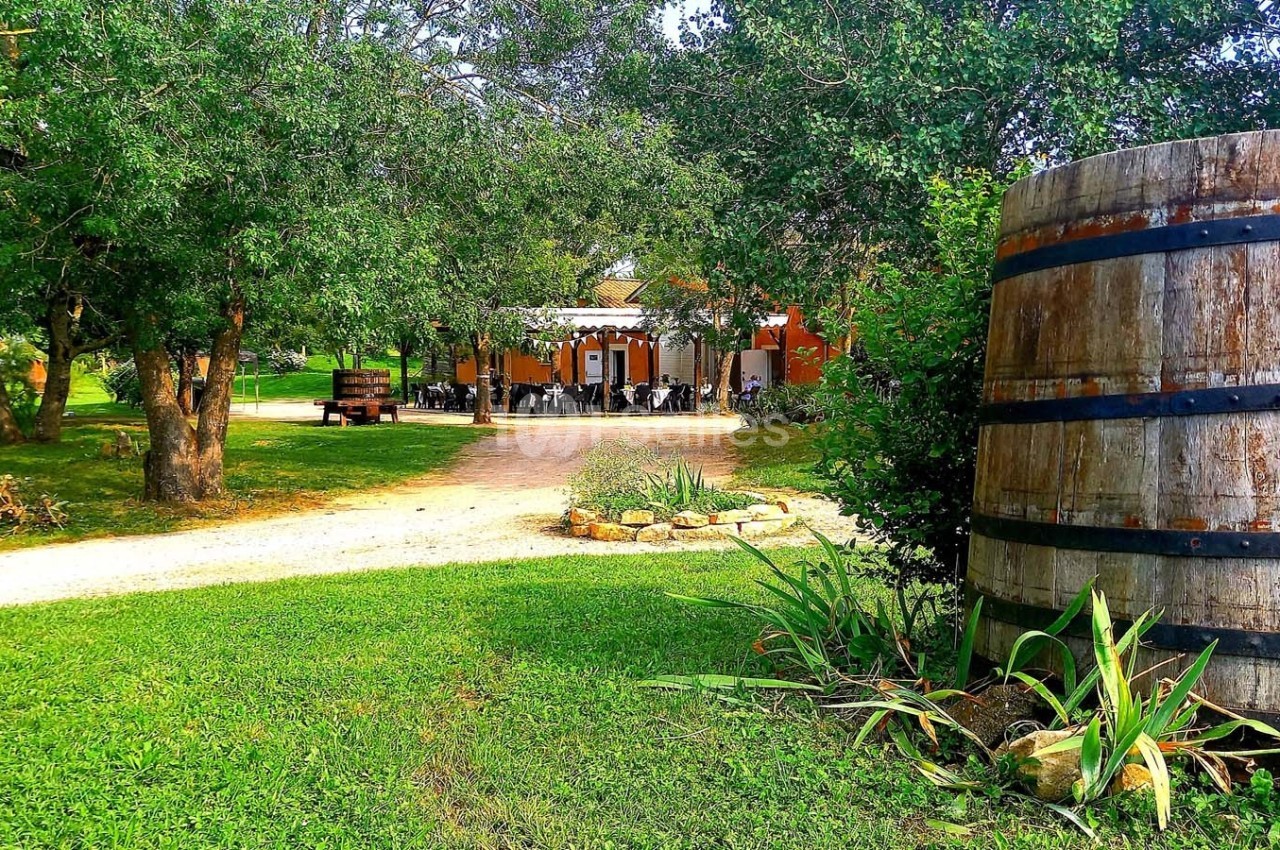 Domaine Saint Julien - galerie - photo 5