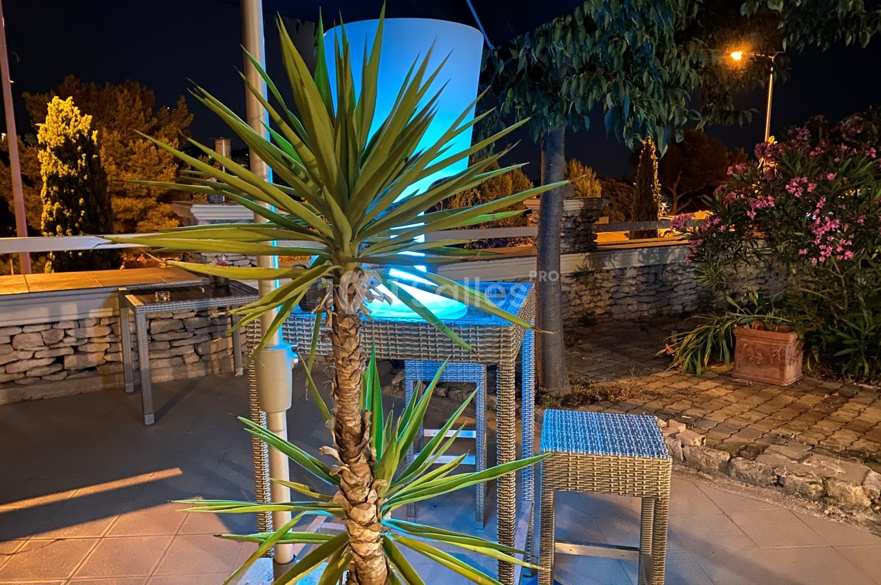 Plante tropicale devant un mobilier en rotin éclairé par une lumière bleue, sur une terrasse de nuit.