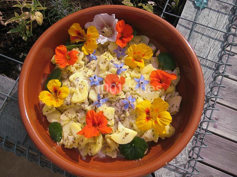 Salade de pommes de terre garnie de fleurs comestibles colorées dans un plat en terre cuite, posée sur une table en bois.
