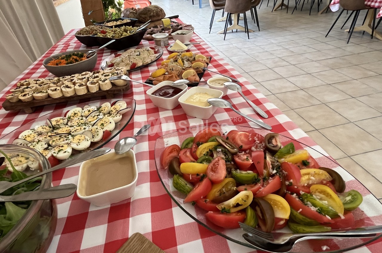 Buffet varié sur une nappe à carreaux rouges et blancs, comprenant salades, œufs, sauces et desserts.