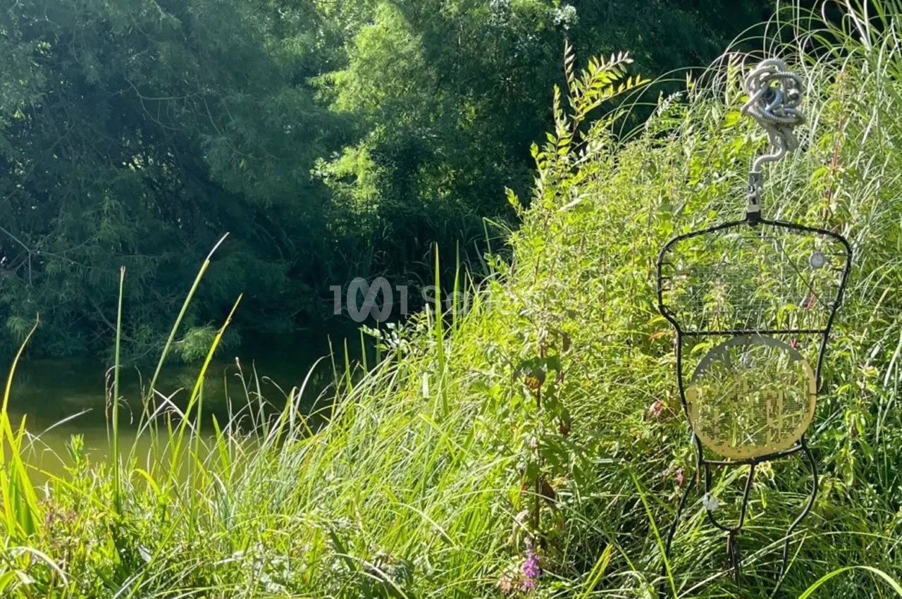 Un piège à poissons suspendu au bord d'une rivière entourée de végétation dense et verdoyante.