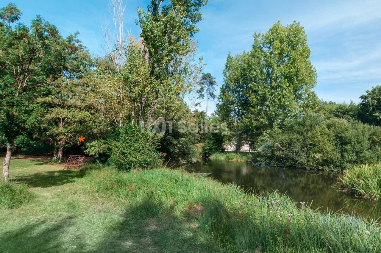 Paysage naturel avec un étang entouré d'arbres, d'herbes hautes et d'un banc en bois à l'ombre.