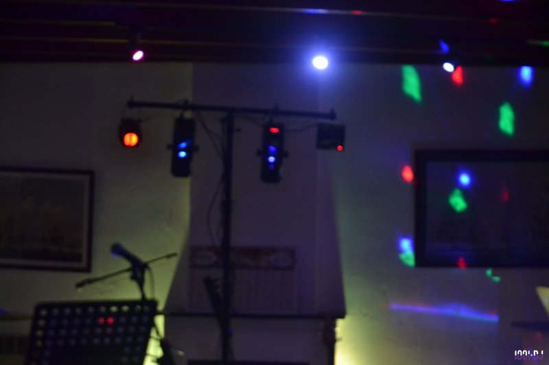 Fox Song - photo 2