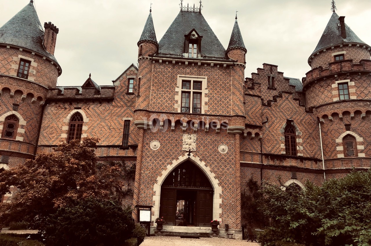 Façade d'un château en briques rouges avec des tours et des toits en ardoise, entouré de végétation.