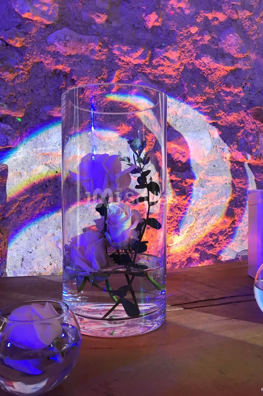 Roses blanches immergées dans un vase cylindrique en verre, éclairées par des lumières colorées sur un fond texturé.