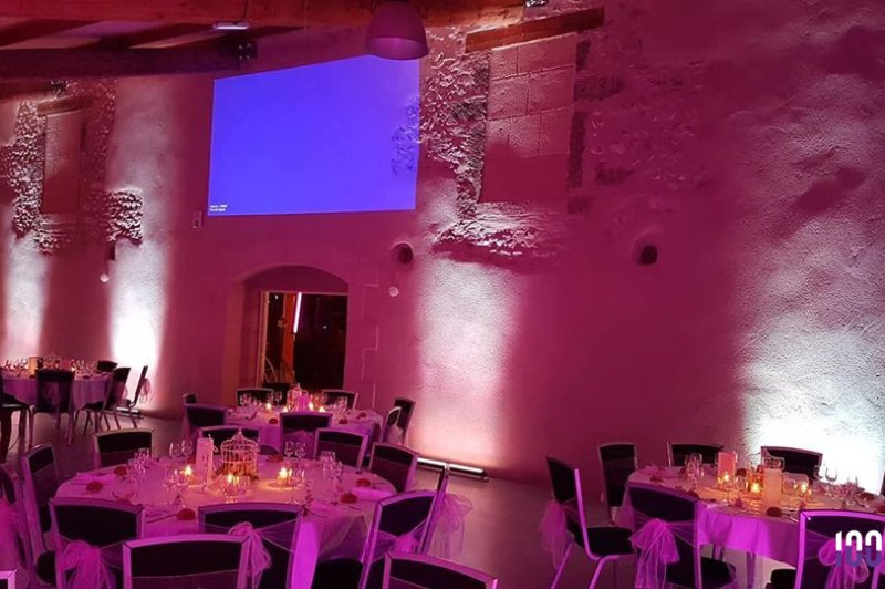 Fiesta Musica Animations - photo 2