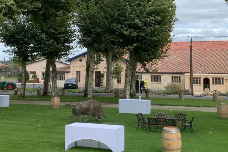 Château Maucaillou - photo 3