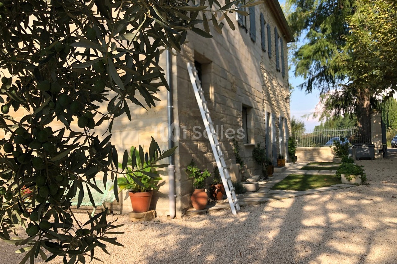 Façade en pierre d'une maison avec une échelle appuyée, entourée de plantes en pots et d'arbres.
