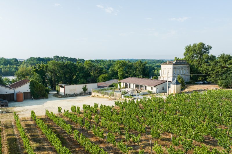 Château Lartigue Cèdres - photo 2