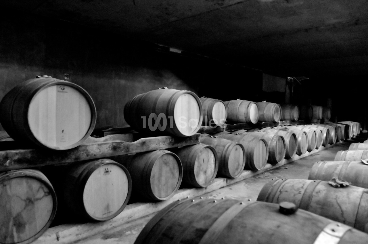 Rangées de tonneaux en bois alignés dans une cave sombre.