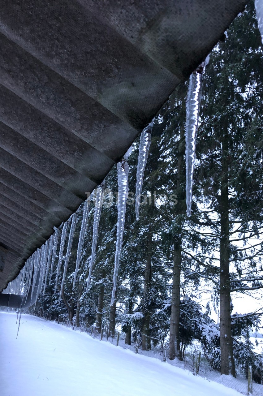 Glaçons suspendus sous un toit incliné, avec des arbres enneigés en arrière-plan.