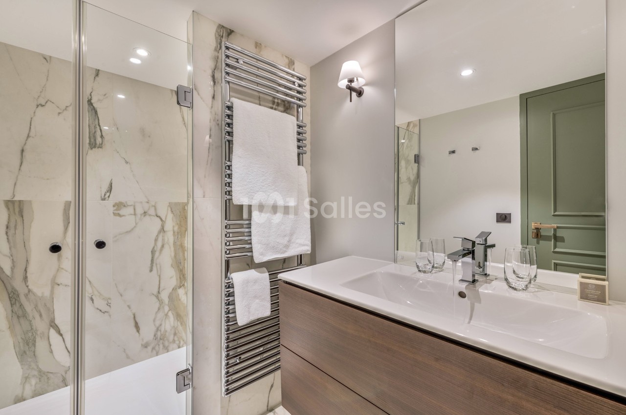 Les Suites de l'Ile Barbe - galerie - photo 10